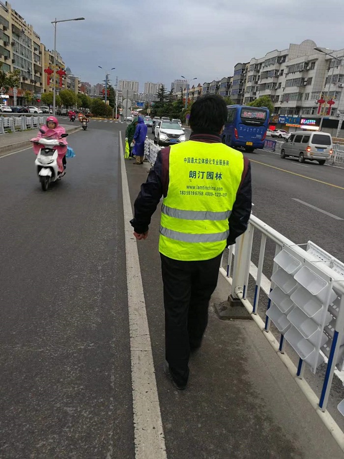 江蘇新阜寧大橋護(hù)欄綠化工程現(xiàn)場施工圖