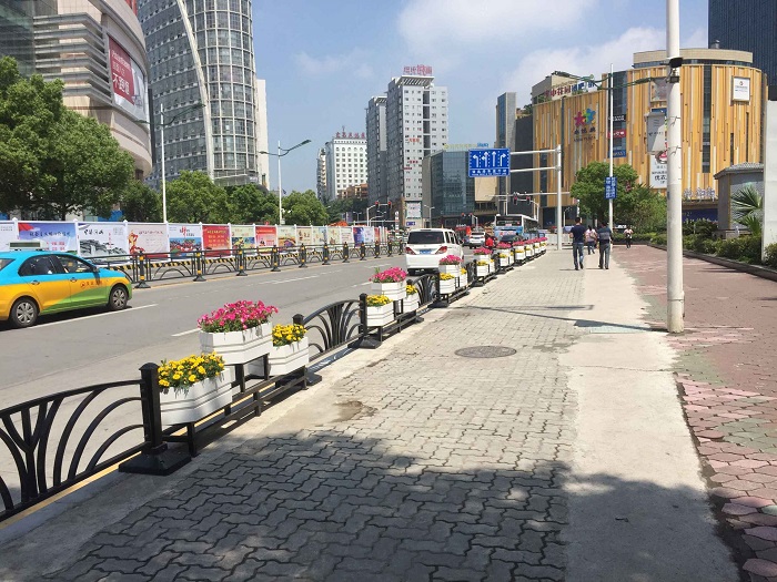 兩側車行道分隔帶綠化