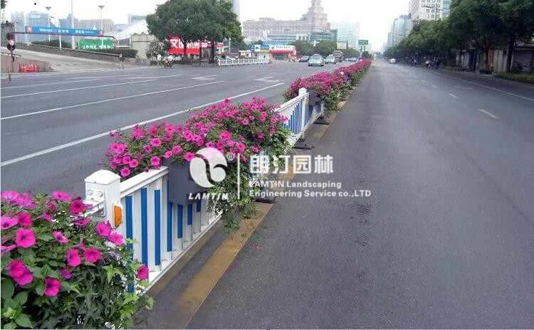 道路隔離護欄綠化案例