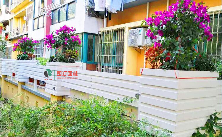 上海閔行區(qū)陽臺庭院圍墻綠化花箱