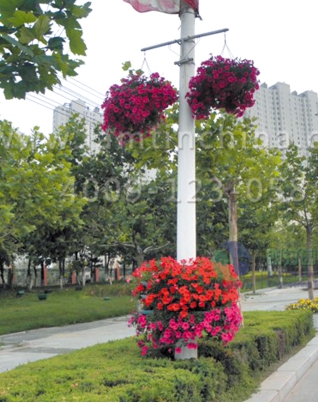 燈桿綠化