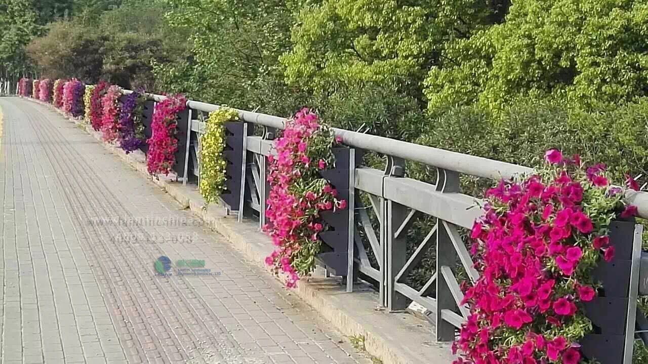 護(hù)欄綠化 護(hù)欄綠化